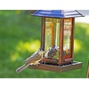 image:imageWagners 52023 Black Oil Sunflower Seed Wild Bird Food 5Pound Bag5 Pound Pack of 6