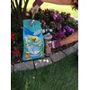 image:imageWagners 62012 Southern Regional Blend Wild Bird Food 20Pound Bag8 Pound Pack of 1