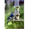 image:imageWagners 62012 Southern Regional Blend Wild Bird Food 20Pound Bag8 Pound Pack of 1