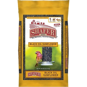 image:image51041 40Pound Bag Black Oil Sunflower Wild Bird Food