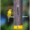 image:imageWagners 62051 Nyjer Seed Wild Bird Food 5Pound BagUnflavored