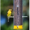 image:imageWagners 62053 Nyjer Seed Wild Bird Food 20Pound Bag